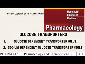 Glucose Transporters (GLUTs and SGLTs) | Lippincott pharmacology Chapter 24 | Lecture # 9