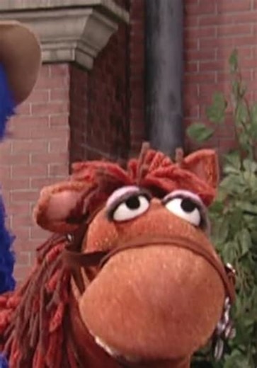 Sesame Street S36:E16 - Rock Sitter for Rocco