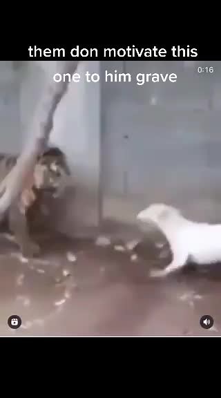 lol motivation gone wrong#funny