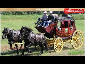 Transportation sounds names and sounds of vehicles Cars for Kids