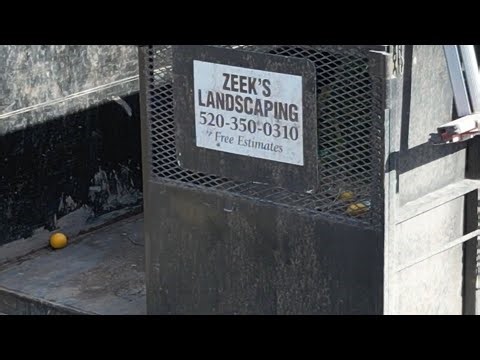 Oleanders Annual Trimming