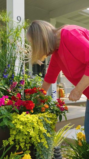 Newton is more than a place—it’s where stories begin and grow. A community rooted in history, built on family traditions, and filled with new possibilities. From cherished memories to fresh opportunities, Newton is where you can plant your roots and call home. | Get to Know Newton