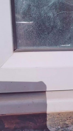 Cif Cream Cleaner for PVC Window Frames and Doors