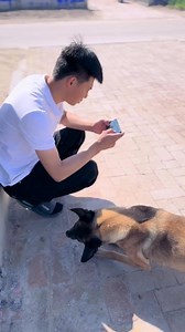 Dangerous Savior Dog is great! become sperm #actor #superhero #hero #love #doglover #Dogs #doggy #art #dog #pet #instagram | JIU JIU