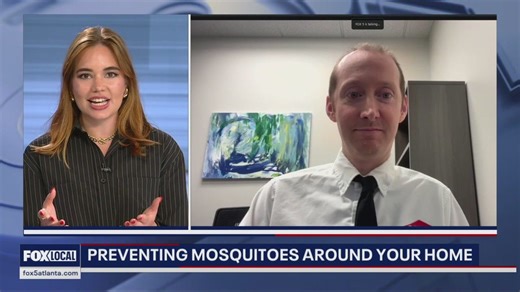 Orkin ranks Atlanta in top 5 worst cities for mosquitoes
