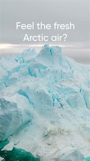 Feel the fresh Arctic air
