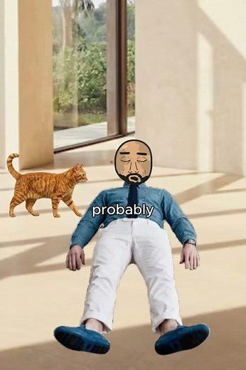 why cats eat there owners body?!