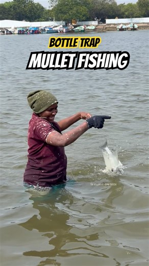 Strong Lady Using a Bottle Fishing Trap to Feed Her Children #fishing #mulletfishing