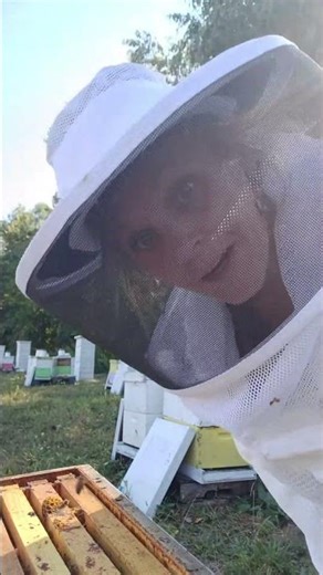 Commercial beekeepers are a rare breed