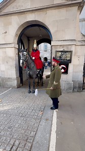 654K views · 7.5K reactions | Small Gesture, Great Honor — Grateful for Your Service ‍♂️ #HorseGuards #KingsLifeGuard #GratefulForYourService #LondonReels #BritishArmy #FBLifestyle | The Royals King's Guard's England | Facebook