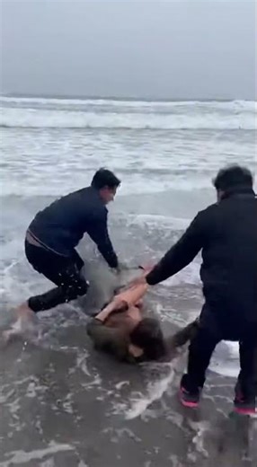 Sea Lion Attacks Woman in Surf—Panic Rescue on Beach!