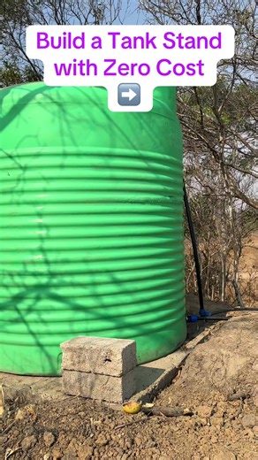 Affordable Farming Start-Up Strategies at LBNM Farms