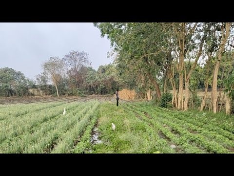 બાપાએ અત્યારમાં મારા ભૂકા કાઢી નાખે 🫣