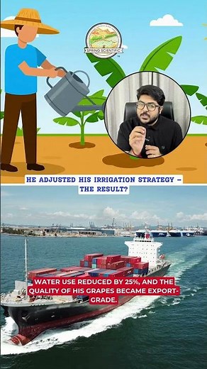 🍇 How Sensors Changed a Farmer’s Life | Precision Agri | Spring Scientific