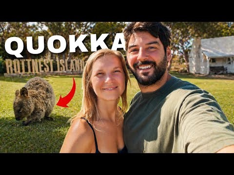 Exploring Rottnest island and finding Australia's cutest animal