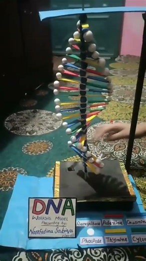 DNA school project ideas 💡 #3d working model.