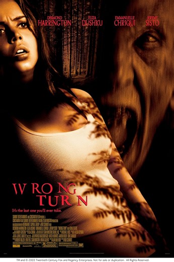 Wrong Turn (2003) ⭐ 6.1 | Horror, Thriller
