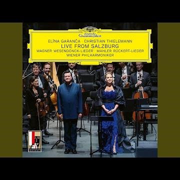 Wagner: Wesendonck Lieder, WWV 91: IV. Schmerzen (Orch. Mottl) (Live from Salzburg)