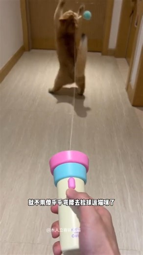 The Interactive Cat Toy Every Owner Needs #catshorts