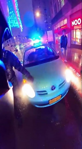 Cat Pulled Over… Then Floors It