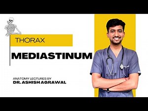 Mediastinum || Thorax Anatomy || First Year MBBS || Anatomy lectures By Ashish