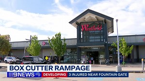 20K views · 98 reactions | Terrified shoppers have run for their lives after a man with a box-cutter went on a rampage near Fountain Gate. #9News | 9 News Melbourne | Facebook