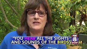 5.7K views · 44 reactions | Heading to the North Carolina Zoo this weekend? Be sure to check out the aviary and its 93 birds! | FOX8 | Facebook