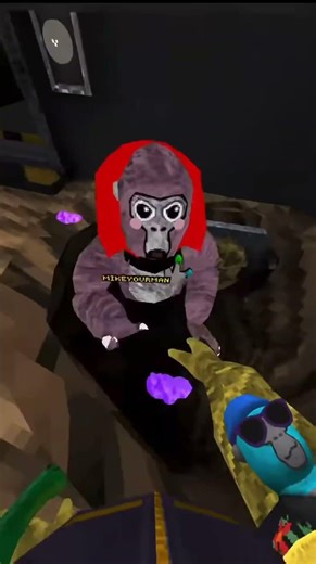 I guess I don’t have one #gorillatag #vr #memes