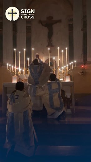 Cardinal Sarah: "We must defend the Church's timeless heritage of the Latin Mass." | Sign of the Cross