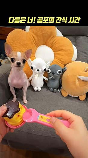 It's your turn! Snack Time🔥#puppy #snack