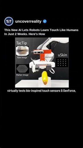 This New AI Lets Robots Learn Touch Like Humans In Just 2 Weeks #robot #shorts