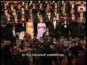 ベートーヴェン「歓喜の歌」（交響曲第九番）Beethoven Symphony No 9－Video part ３－