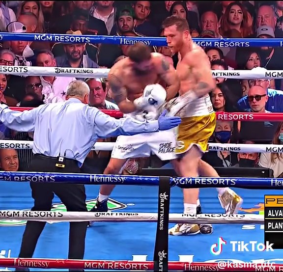 Canelo vs Caleb 🔥 #ufc #ufcrussia #boxing #mma #fight #sports #ufcedit