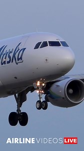 48K views · 1.3K reactions | This Airbus A319-112, first delivered to Virgin America and later part of Alaska Airlines’ fleet, was retired in March 2020. Now stored and partially scrapped, here’s a look back at it in action at LAX in 2019. #airlinevideoslive #airlinevideos #laxairport #airports #aviation #aviationgeek #aviationdaily | AIRLINE VIDEOS | Facebook