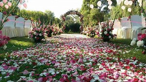 婚庆视频，展现最美珍爱