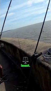 You won't believe the size of this massive goldfish catch!