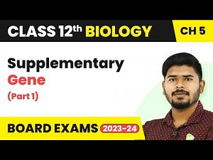 Supplementary Gene (Part 1) - Principles of Inheritance and Variation | Class 12 (2022-23)