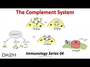 Dr. Hong's Immunology Lecture 04: The Complement System