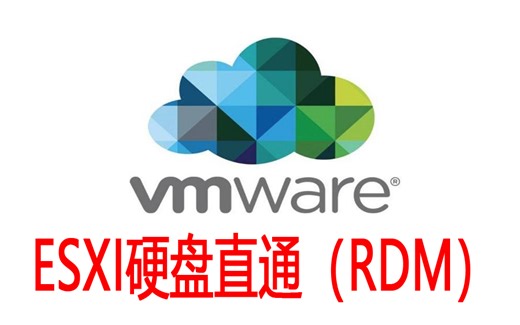 ESXI虚拟机硬盘直通（RDM方式）