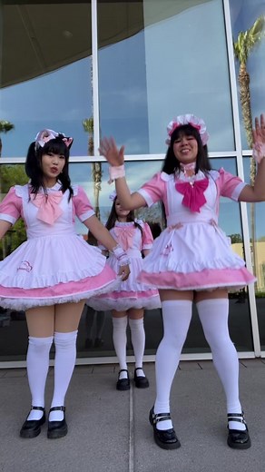 Cat girl maids! #maid #maidcafe #cosplaygirl #anime #animegirls