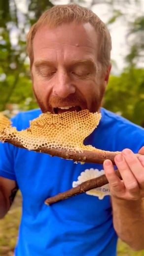 Honey comb on a stick courtesy of the Bees 🐝 #eat #fun