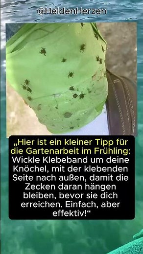 Ein einfacher Trick gegen Zecken im Garten