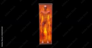 Genetically engineered human, humanoid clone in floating viscous gaseous energy field, life support chamber. 3d animation. View shows simple rotation of man