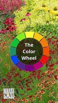 TERRA NOVA® Nurseries, Inc. - Color Theory in the Garden, working with the Color Wheel.