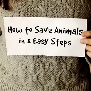 Save animals FROM YOUR PHONE! IT'S ONLY 3 STEPS (and it’s FREE): peta2.com/app | peta2
