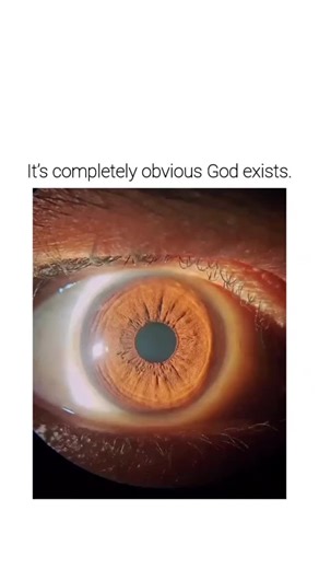 WORLD HUB on Instagram: "The post features a video progressively zooming into a human eye, from macroscopic to microscopic views of its fibrous iris structure, to illustrate biological complexity as undeniable evidence of divine design. Replies in the thread polarise opinion, with atheists countering via evolutionary examples like intermediate eye forms in nature and imperfections such as tumours, while supporters echo affirmations of faith. The linked Substack expands on irreducible complexity 