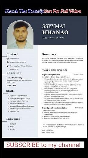 Make your professional resume in 5 minutes #resume #cv