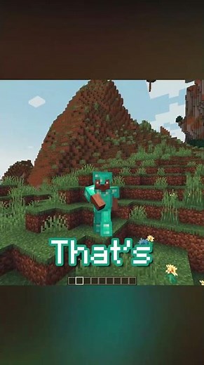 How far you can Zoom in Minecraft?