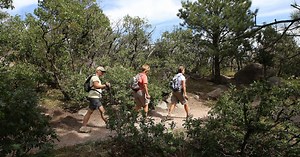 New Colorado vehicle registration automatically enrolls residents in parks pass