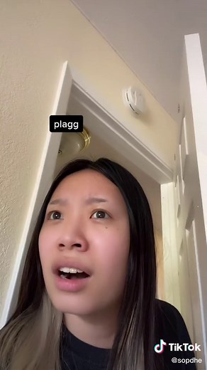 and that was the end of mlb #miraculous #ladybug #chatnoir